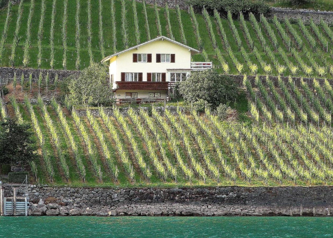 Haus Buenten Quinten Exteriér fotografie