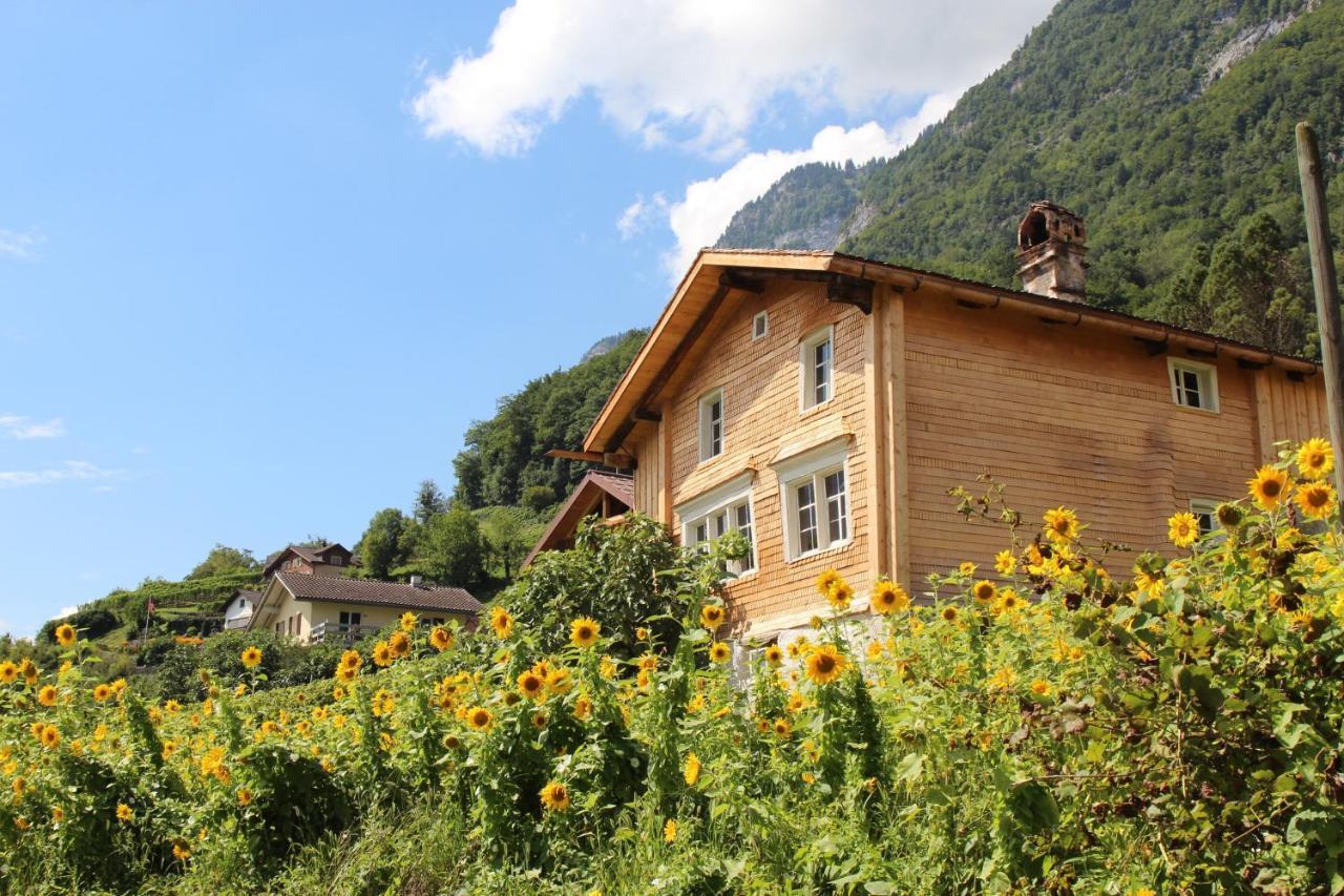 Haus Buenten Quinten Exteriér fotografie