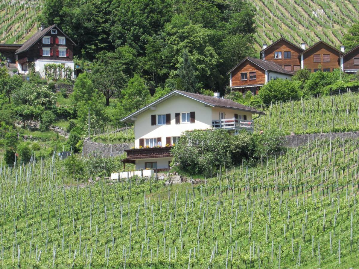 Haus Buenten Quinten Exteriér fotografie