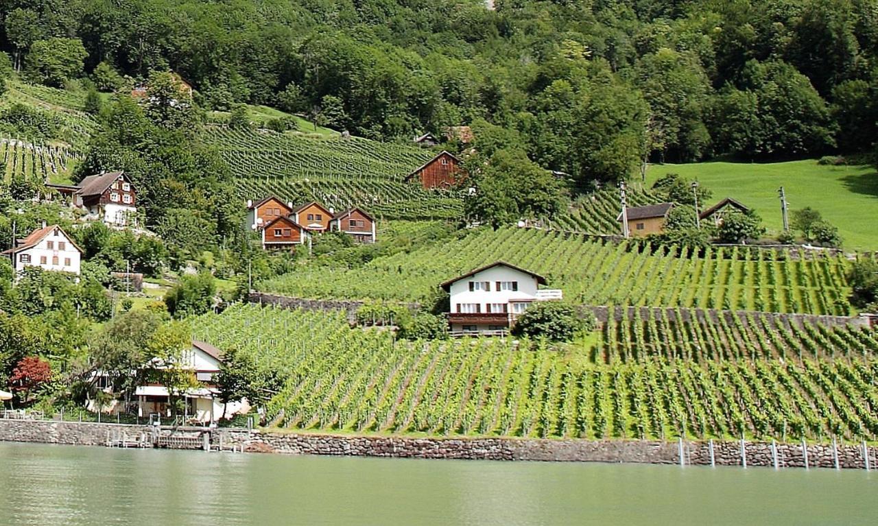 Haus Buenten Quinten Exteriér fotografie
